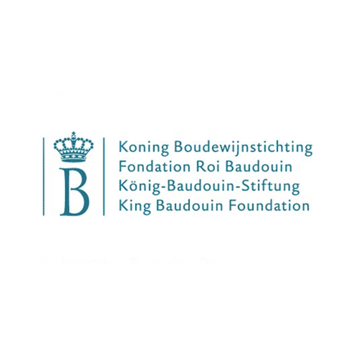 fondation roi baudouin